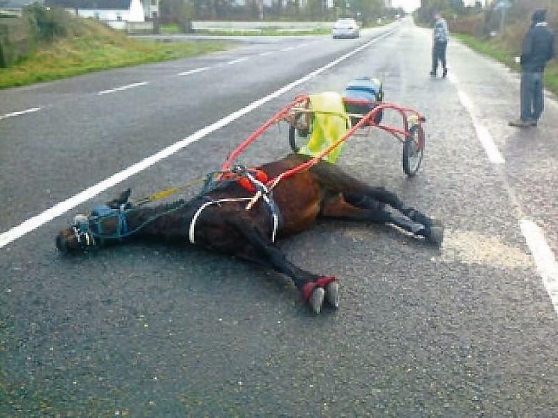 Petition to ban sulky racing on Tipperary roads