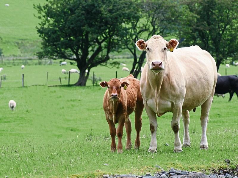 Farmers are demanding more as prices increase