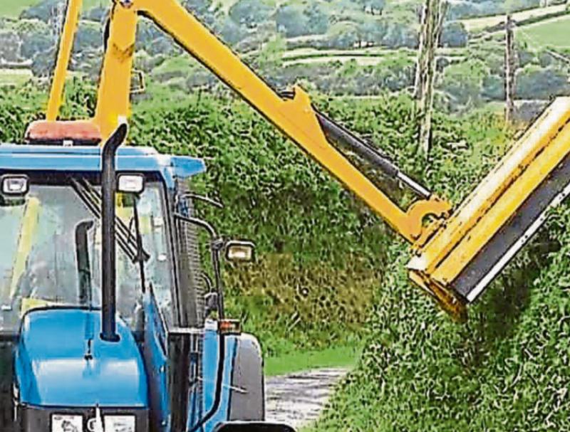 Some overgrown hedges in County Tipperary are ‘putting lives at risk' 