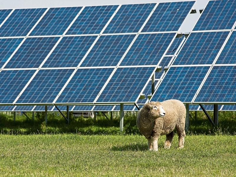 Tipperary farming: solar energy scheme 'must include panels on farm sheds'