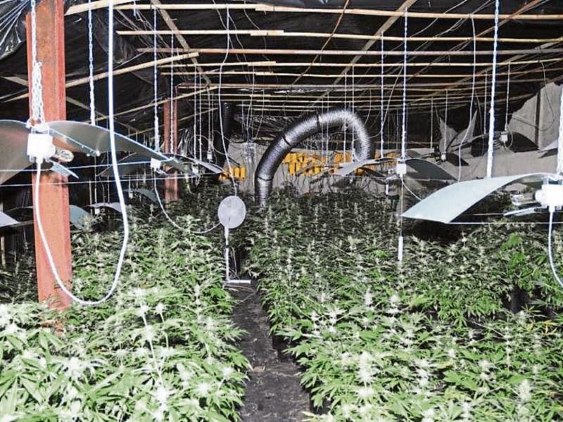 UPDATE - Tipperary gardai release photograph of cannabis grow house in Hollyford