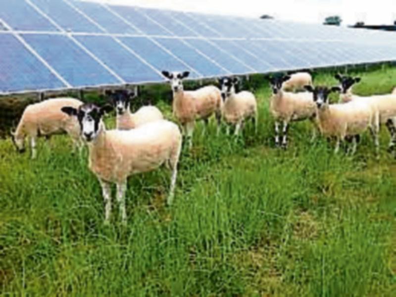 Second Cahir solar farm planning decision due soon