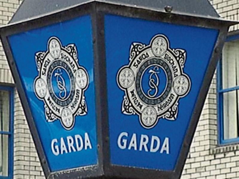 Nenagh Gardai make two drugs finds