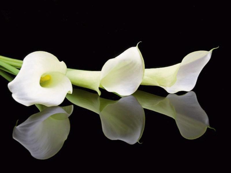 Recent deaths in Tipperary Monday 24 October