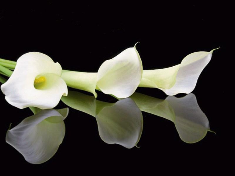 Recent deaths in Tipperary Friday 28 October