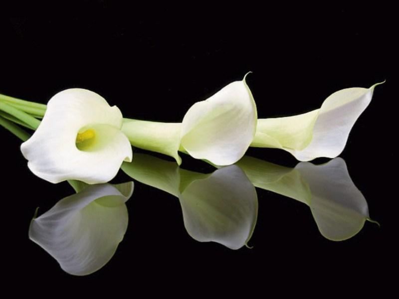 Recent deaths in Tipperary Tuesday November 1st