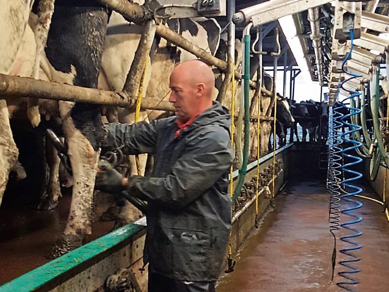 Milking course will help cream rise to the top