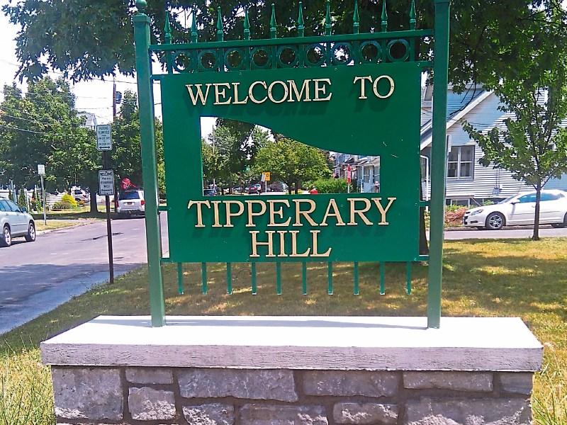 'Tipperary Hill' is thriving in New York