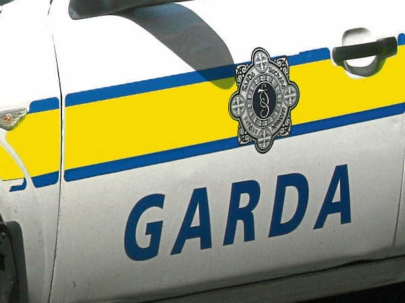Pedestrian killed in Ballykisteen road accident was from Romania