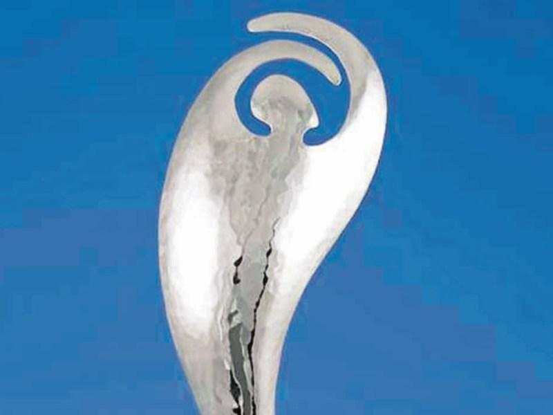 Wexford Light Opera wins Carrick-on-Suir Theatre Festival