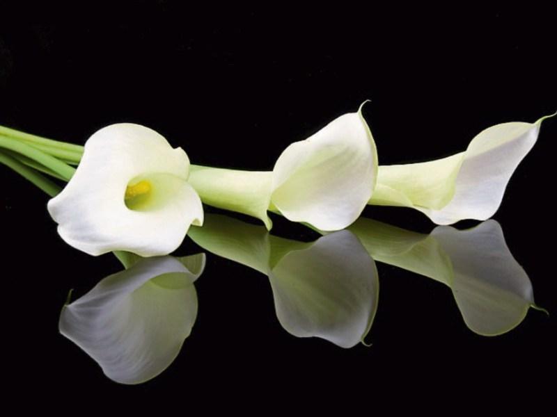 Recent deaths in Tipperary Tuesday 15 November