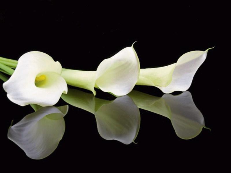Recent deaths in Tipperary Monday 21 November