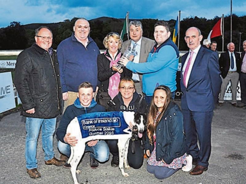 Gardai investigate theft of €1m greyhound