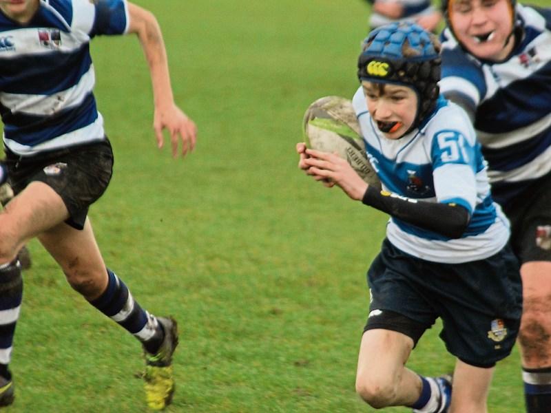 Rockwell College u-15s join seniors in cup glory