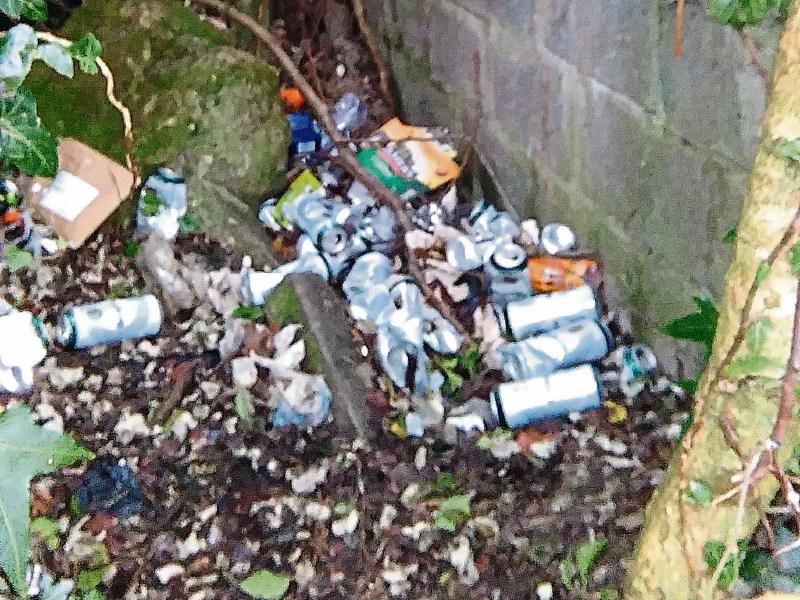 Tipperary councillor calls for barcode on fast-food wrappers to track down litter louts