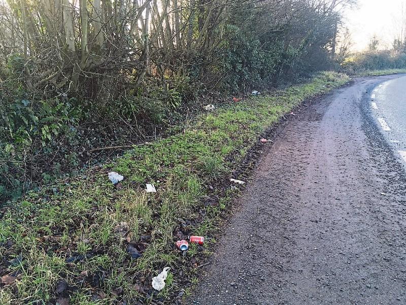 'Disgraceful' dumping on Tipperary roadway condemned