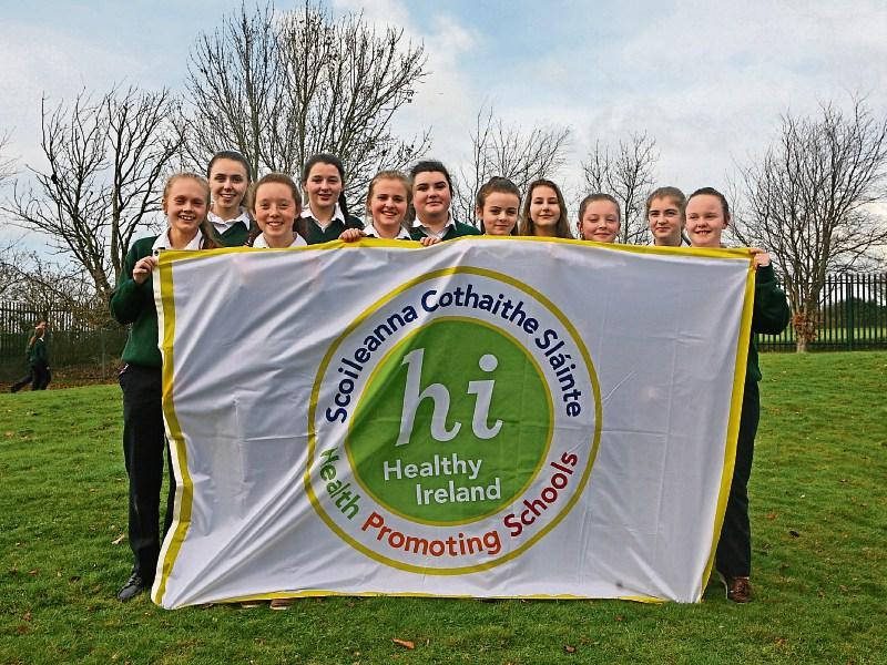 Carrick-on-Suir school awarded HSE health flag