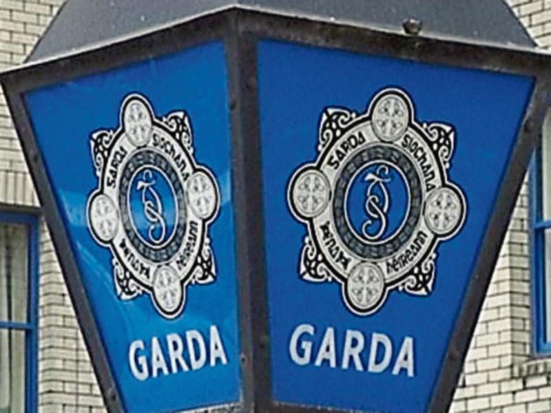 Tipperary Gardai seize drugs worth €2,900 in Roscrea