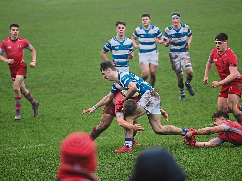 Injuries prove costly as Rockwell College bow out of Senior Cup