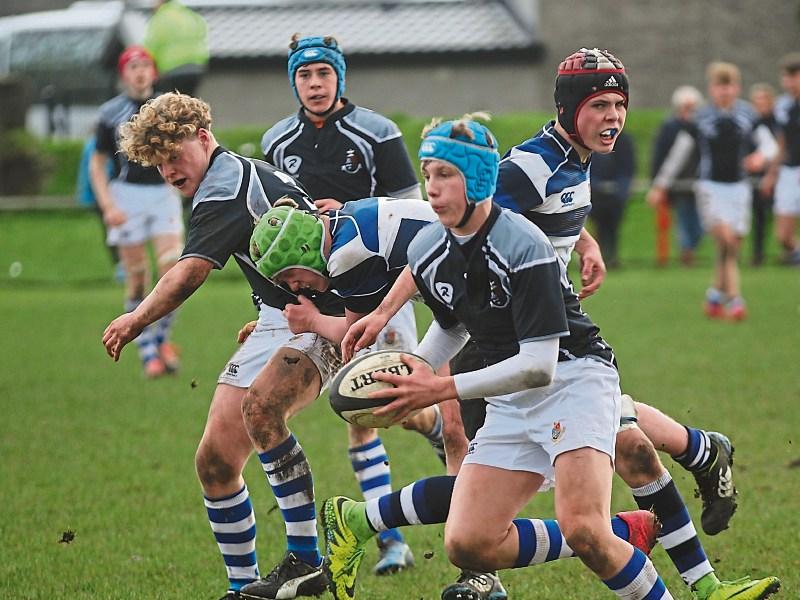 Lionhearted Rockwell bow out of Munster Junior Schools