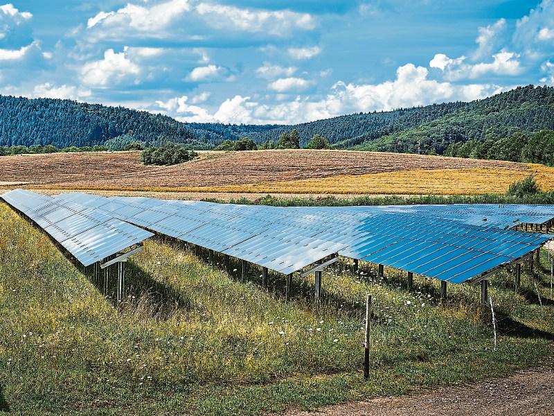 Carrick-on-Suir solar energy farm granted planning permission