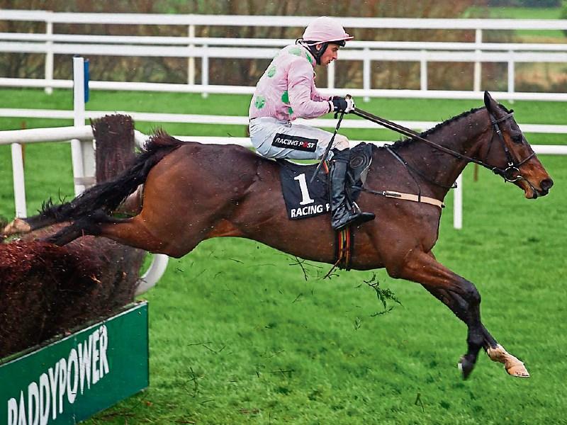 White flag raised for Cheltenham Preview Night