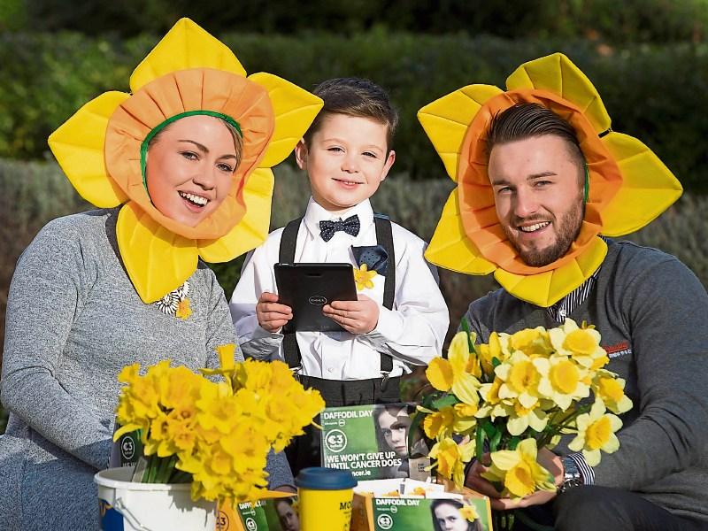 Irish Cancer Society needs drivers in Tipperary