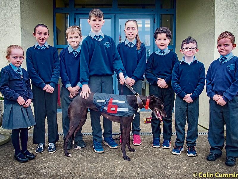 Go to the 'Dogs' for Annacarty NS