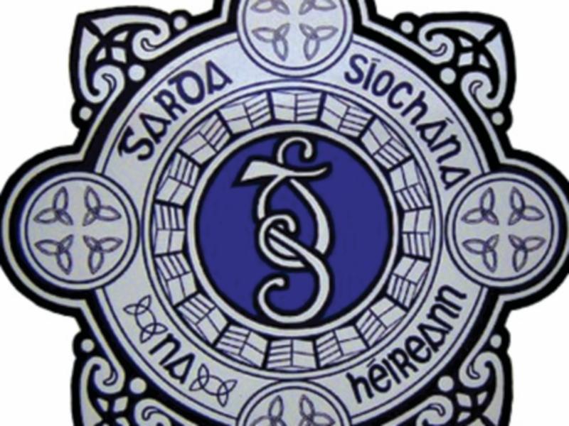 Man arrested for Tipperary Town handbag snatch