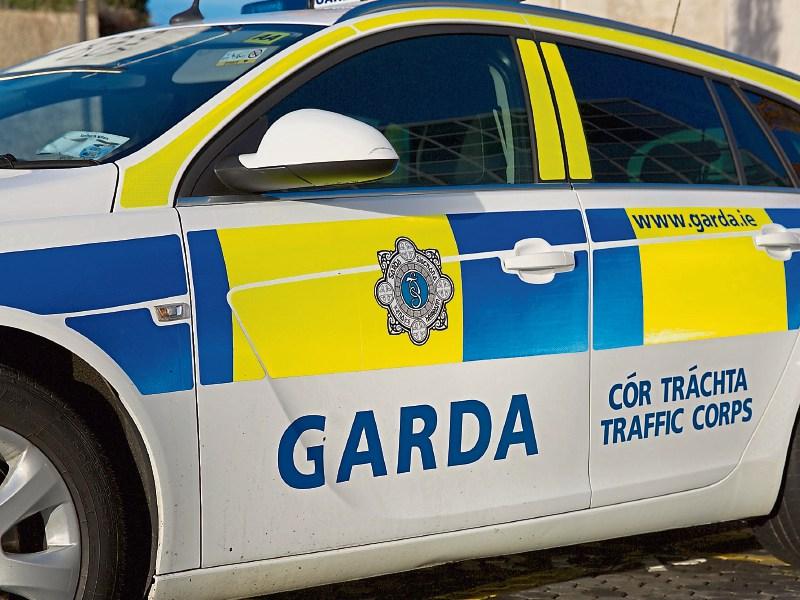Speed and cannabis seized in Cahir house searches