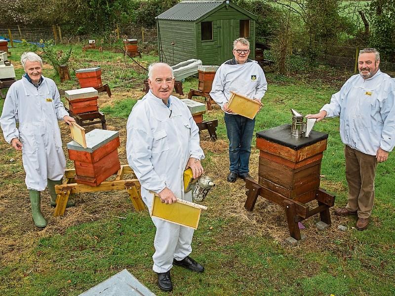 Group wants to create buzz around honey bees and beekeeping