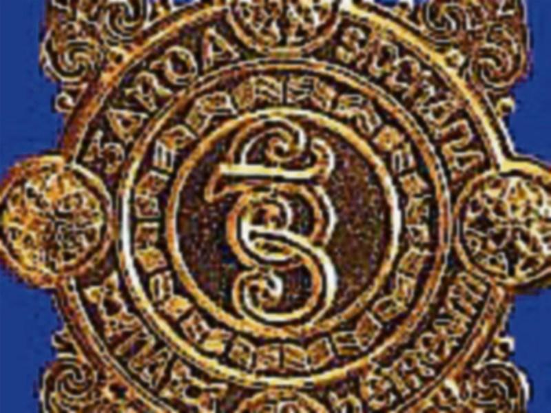 Handbag stolen from car in Dundrum