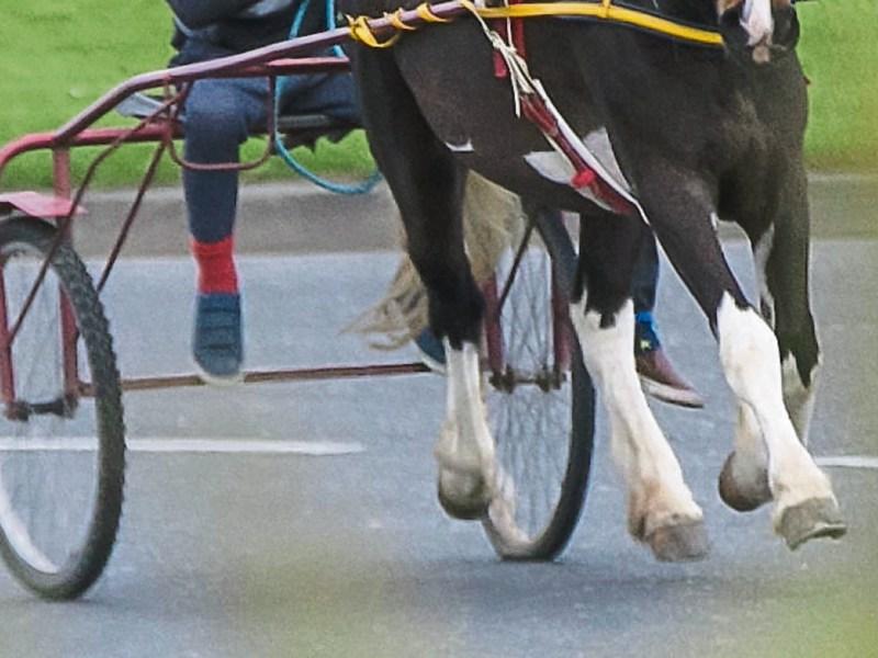 Sulky racing