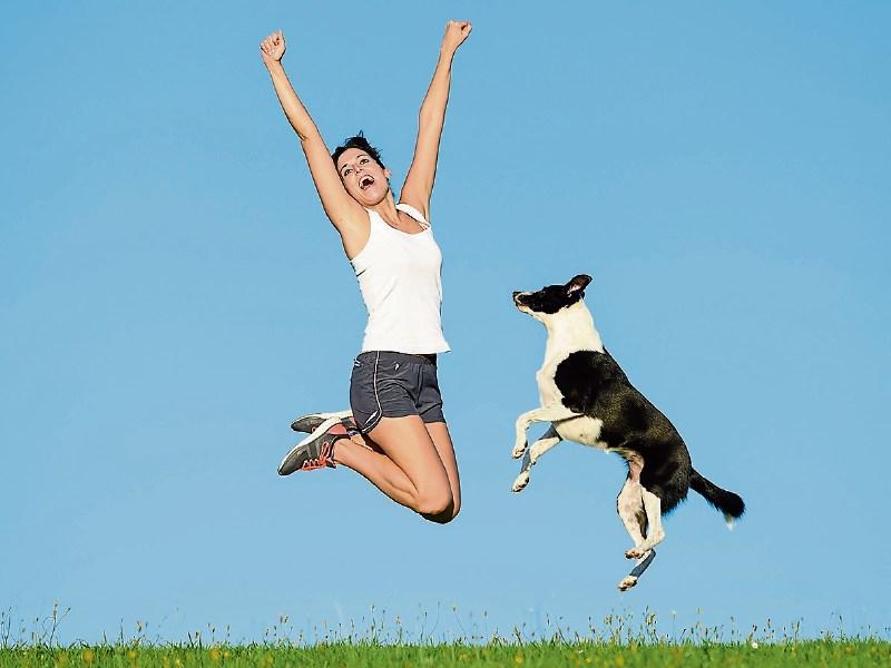 Clonmel store is offering to help you get fit - with your pets!