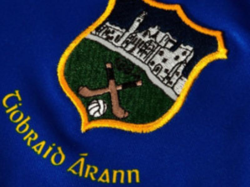 Tipperary man killed in farm tragedy was father of All Ireland winning Tipp hurler