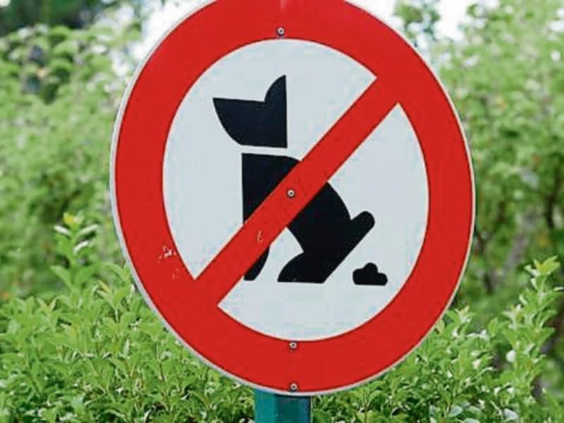 Tipperary elected representative backs community call issued to dog owners 