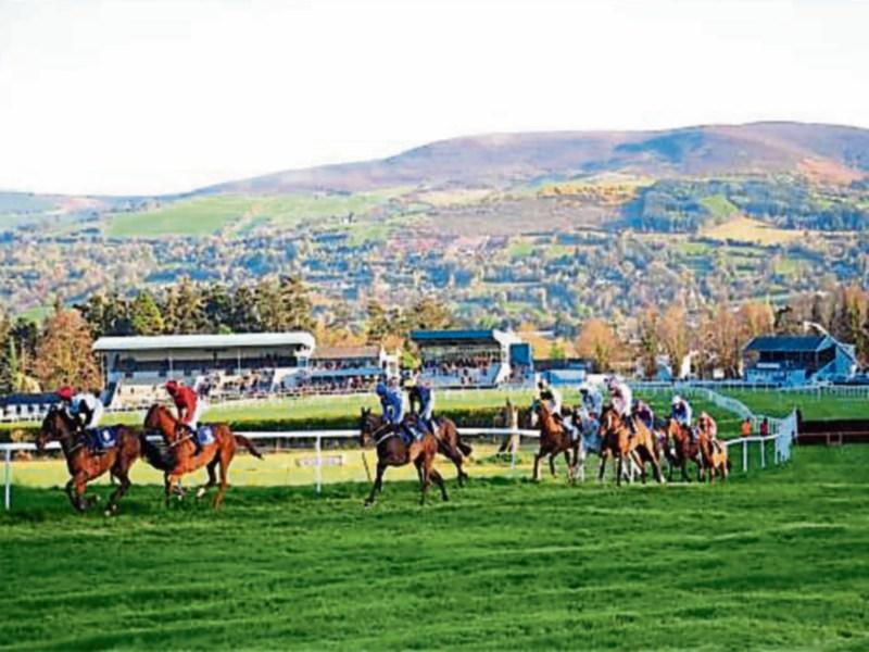  Powerstown Park racecourse is ready for a busy season