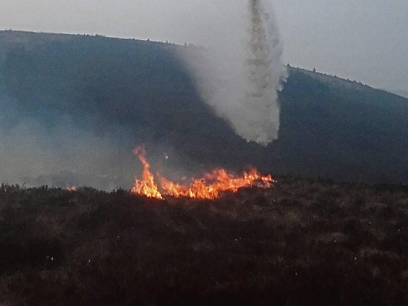 Huge Forest fire prevented on Slieve Felim Mountains