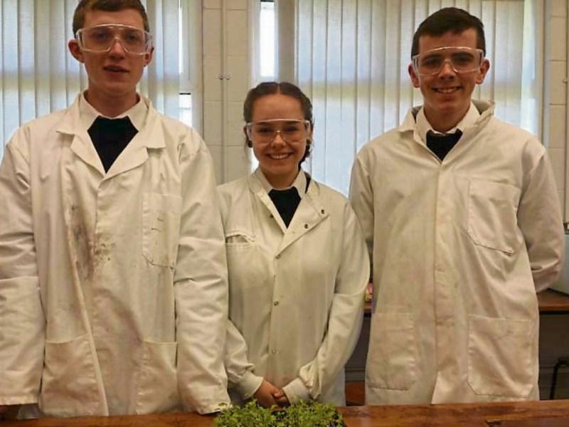 Silvermines cattle deaths: students' project cuts the mustard to clean up toxic land