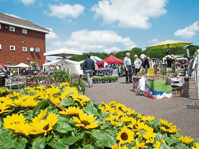 Summer is coming - so it's time for Mallow Garden Show