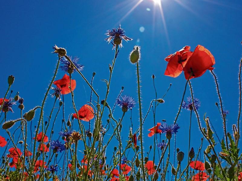 As hot as the Mediterranean - Tipperary set to bask in the sun!