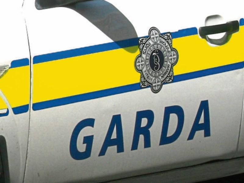 Gardai appeal for public's help in solving burglary near Clonmel