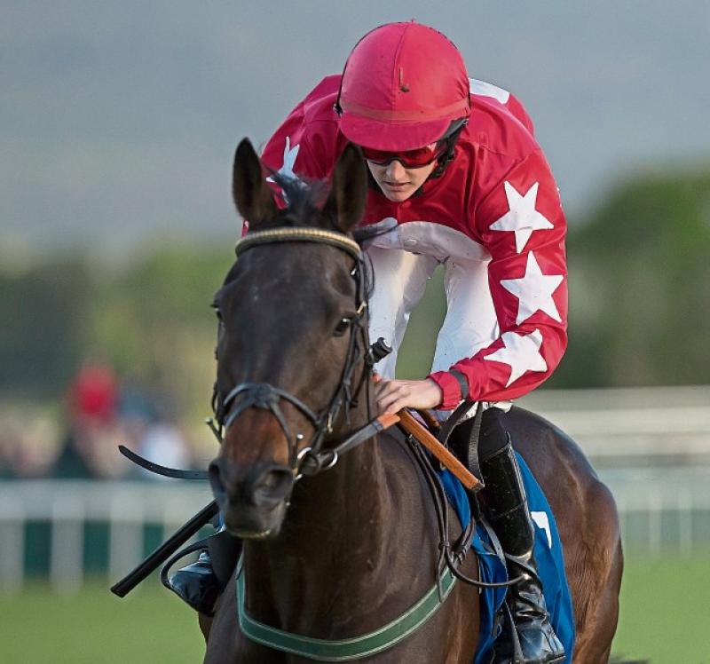 Cheltenham Sweep - Tipperary GAA Club Fundraiser covering all the festival races