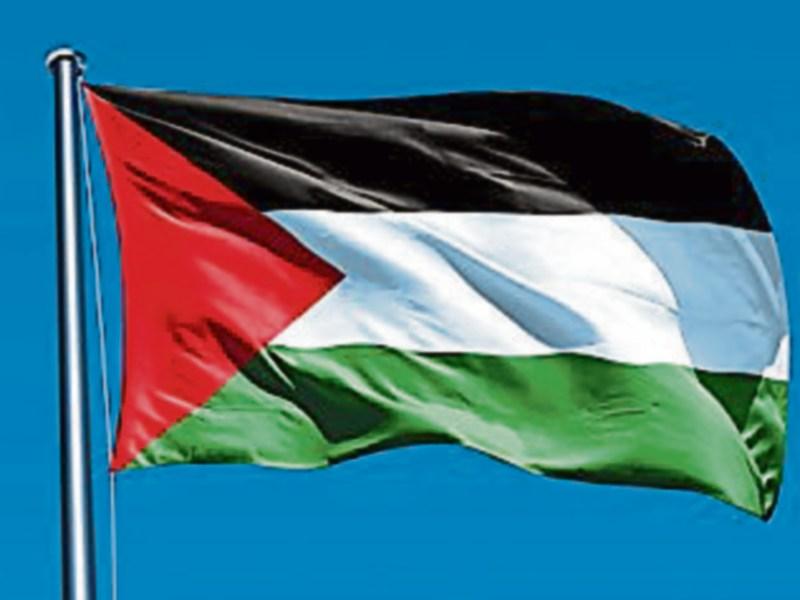 Tipperary Palestine groups welcome council support