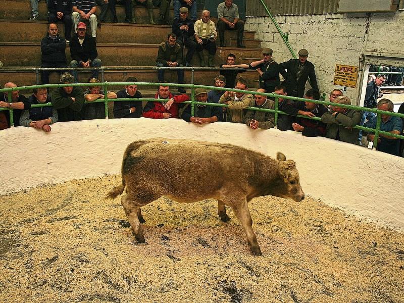 78% of farmers are dependent on marts to sell cattle