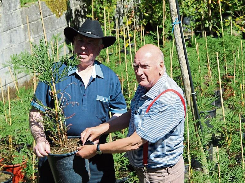 Crann's open day at Matt Fogarty's Tree Farm, Drominagh