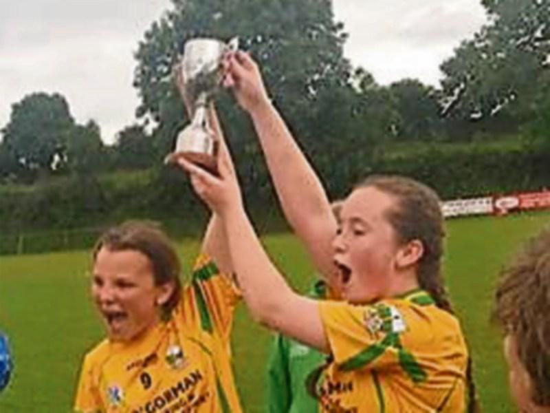 County title for Ballybacon camogie club four years after formation