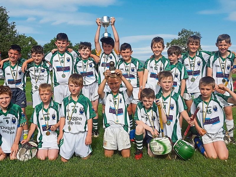 Cahir win Christian Flannery memorial hurling tournament in Clerihan