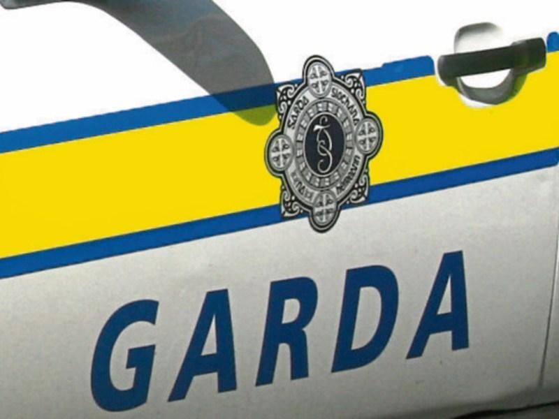 Gardai stop Cashel sulky race 