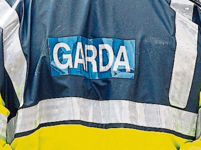 Cannibis seized in Cashel house search